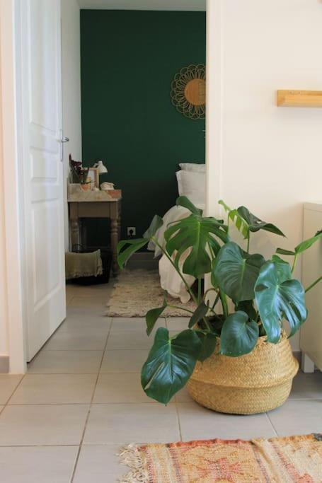 Cosy Appartement Entre Vignes Et Garrigue Avec Piscine Péret المظهر الخارجي الصورة